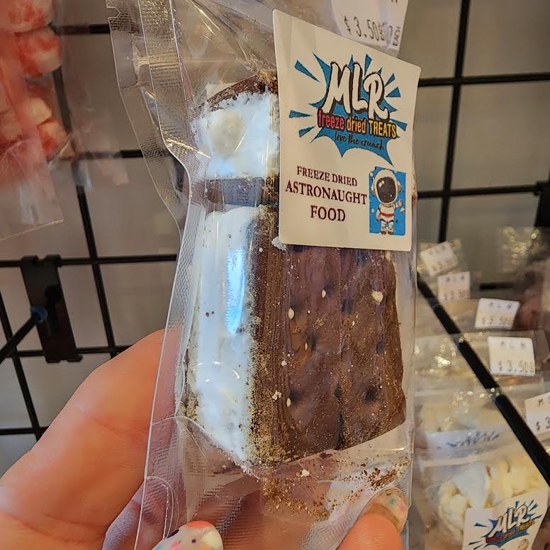 Freeze Dried Astronaut  Ice Cream Sandwiches Vanilla