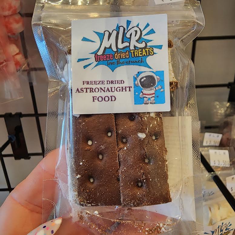 Freeze Dried Astronaut  Ice Cream Sandwiches Vanilla