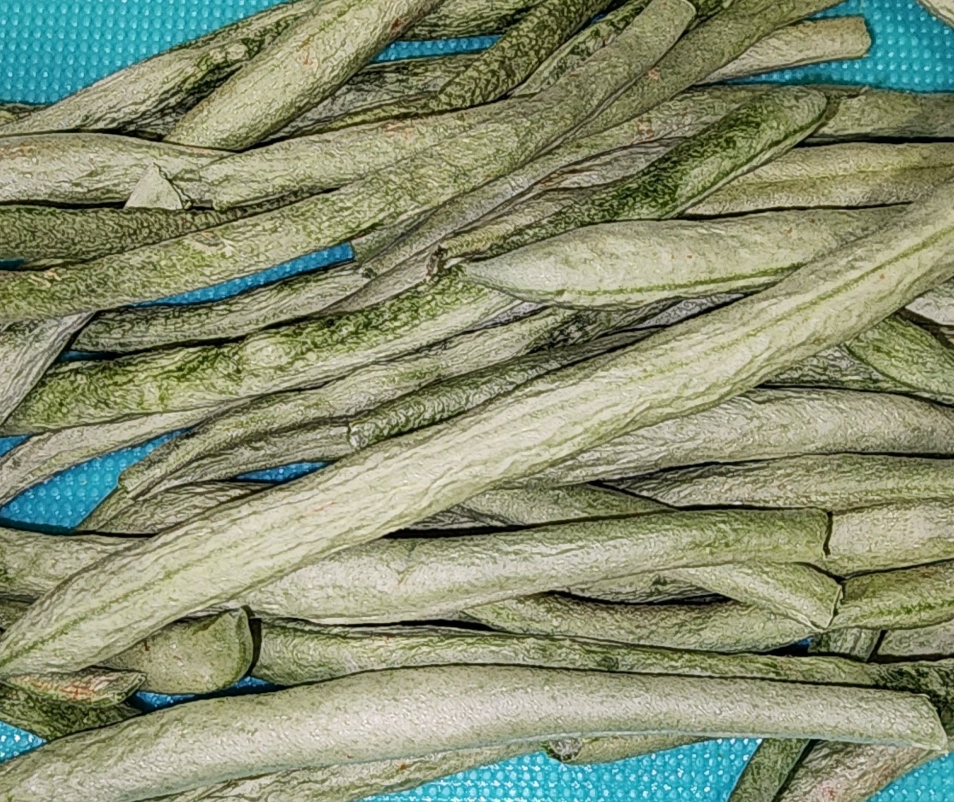 Freeze Dried Green Beans