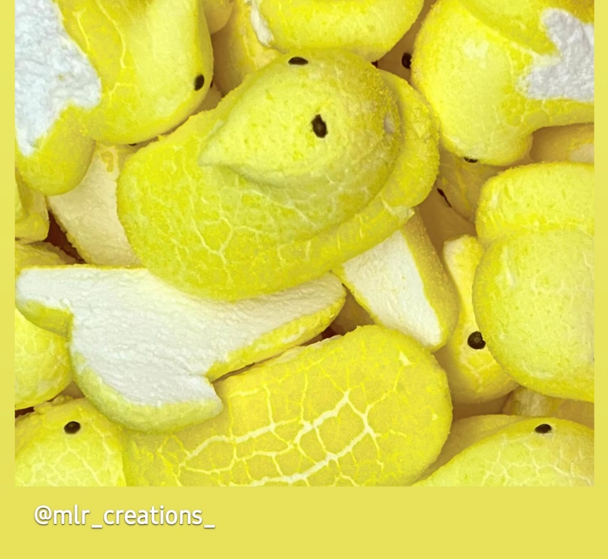 Marshmallow Chicks