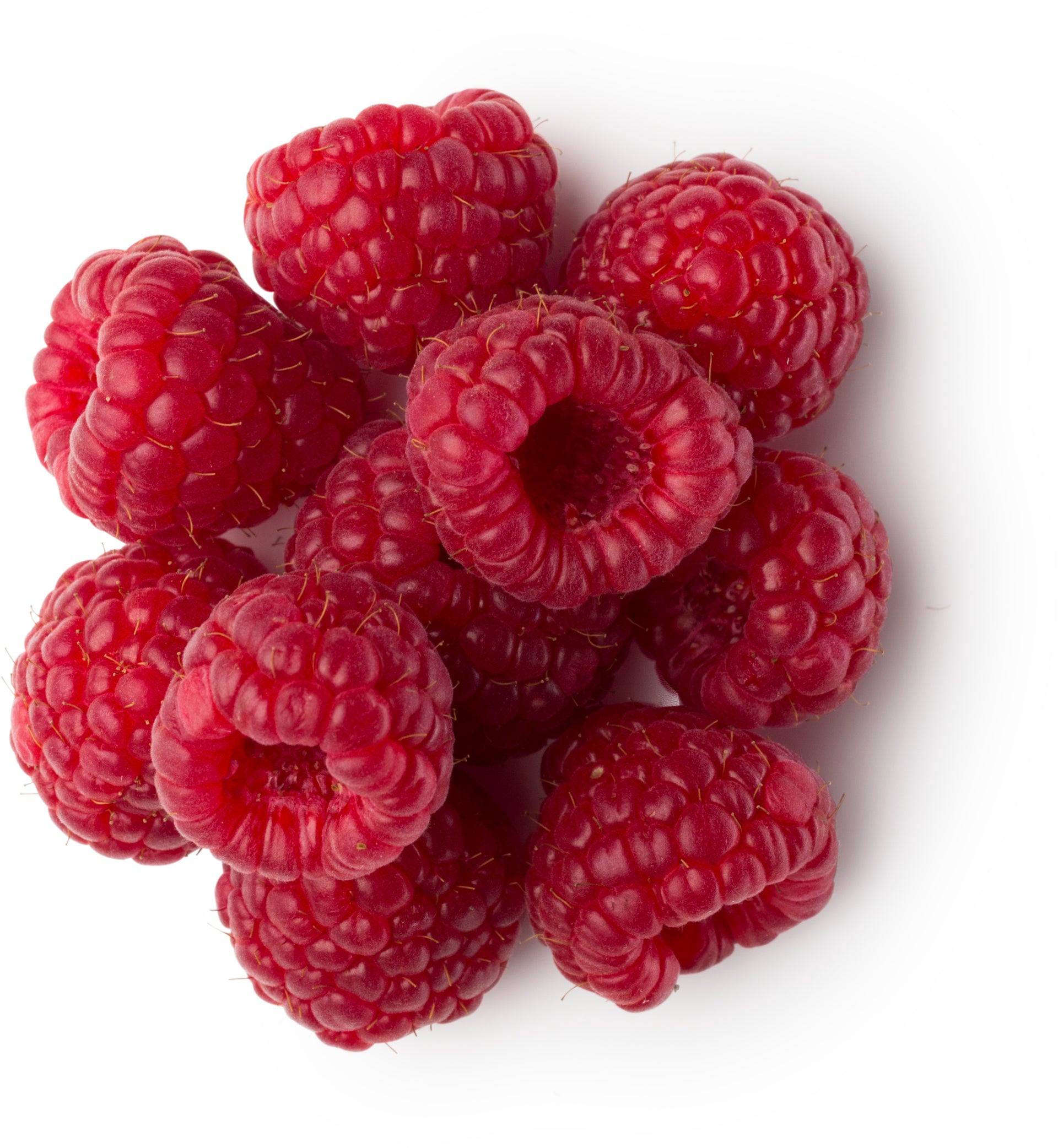 Freeze Dried Raspberries